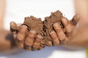 Agricultor ecológico de corazón. La huerta de Rizos.